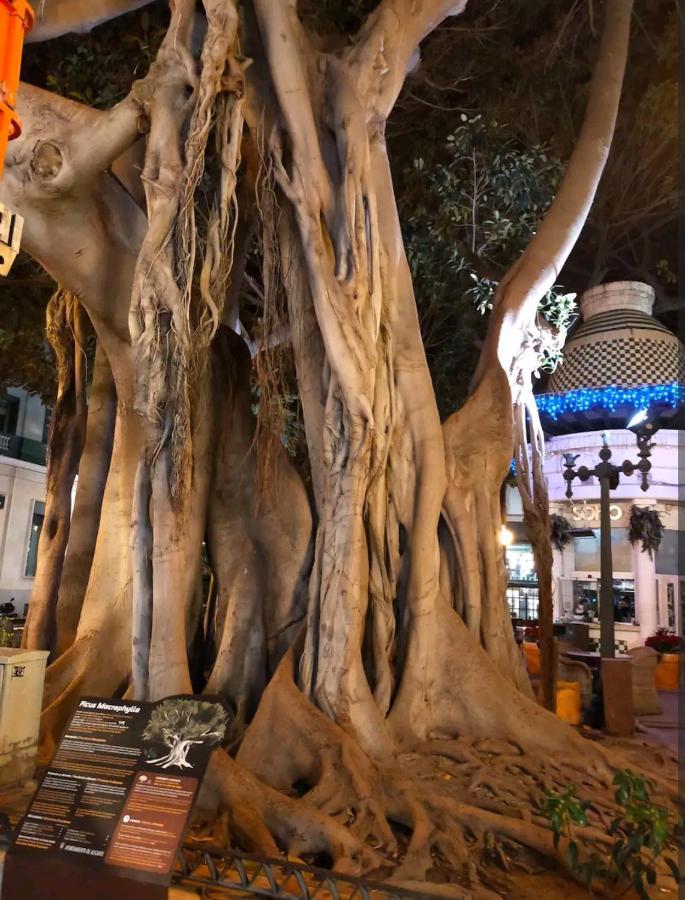 City Center Alicante - Santa Lucia - 2 מראה חיצוני תמונה